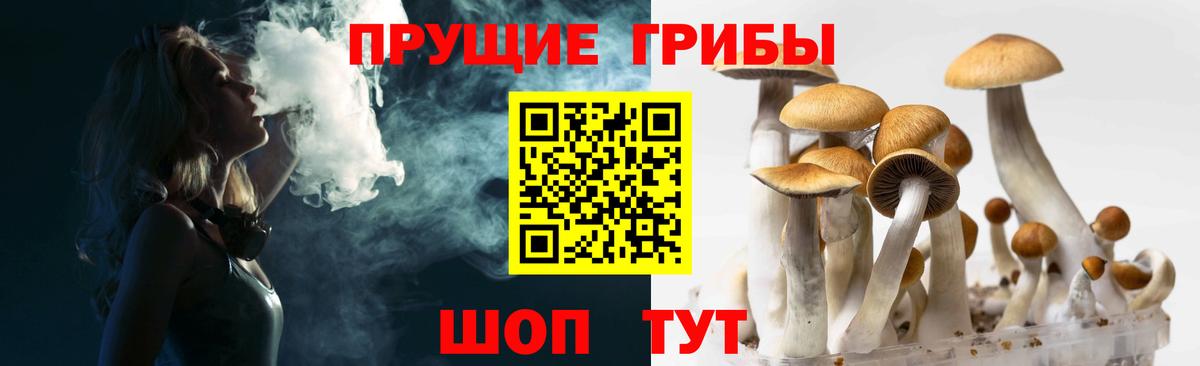 Бахчисарай  Псилоцибиновые грибы Magic Shrooms  Вход с VPN 